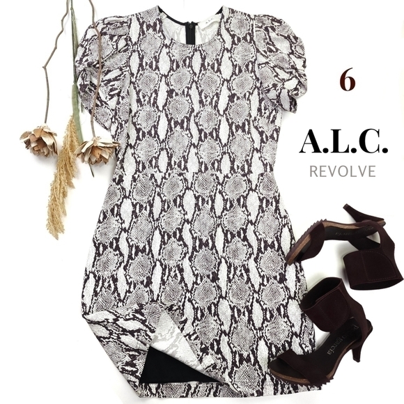 🔴 A.L.C. Snake Print White Brown Dress Sz 6 - Picture 1 of 10